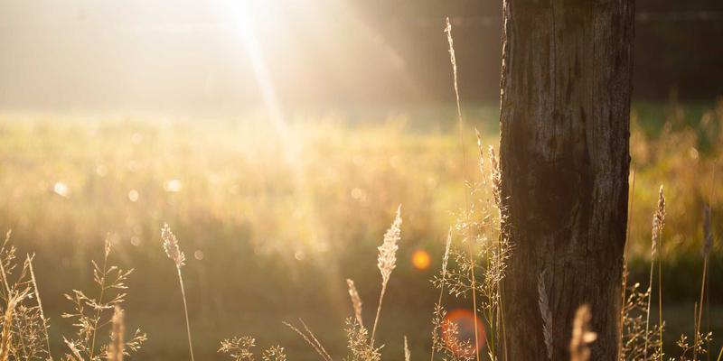 亲子家庭出游民宿预订指南：兼顾绿色旅游与自然住宿的五大细节