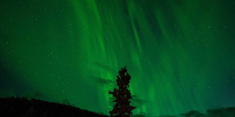 卡拉小屋民宿预订全攻略：从田园农耕到星空晚宴的深度体验之旅