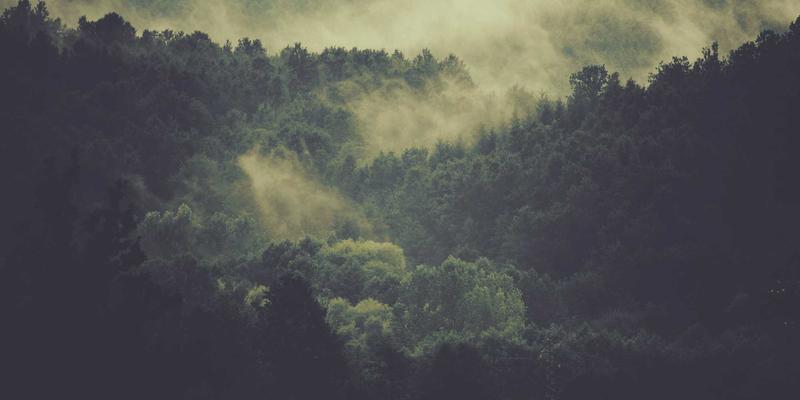 民宿预订新趋势：特色住宿与自然住宿引领绿色旅游新风尚