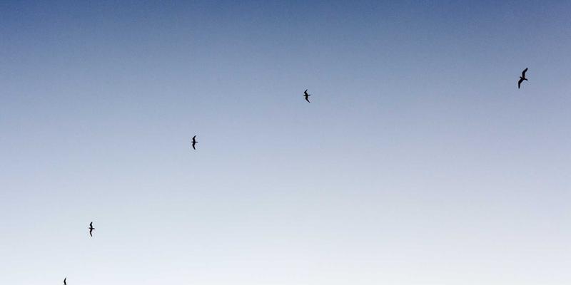 特色住宿平台深度评测：爱彼迎、美团、小猪哪个更适合预订你的度假小屋？