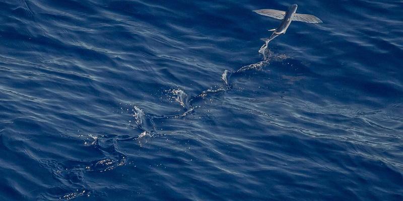 绿色旅游新风尚：解锁民宿预订最佳实践，以卡拉小屋为例