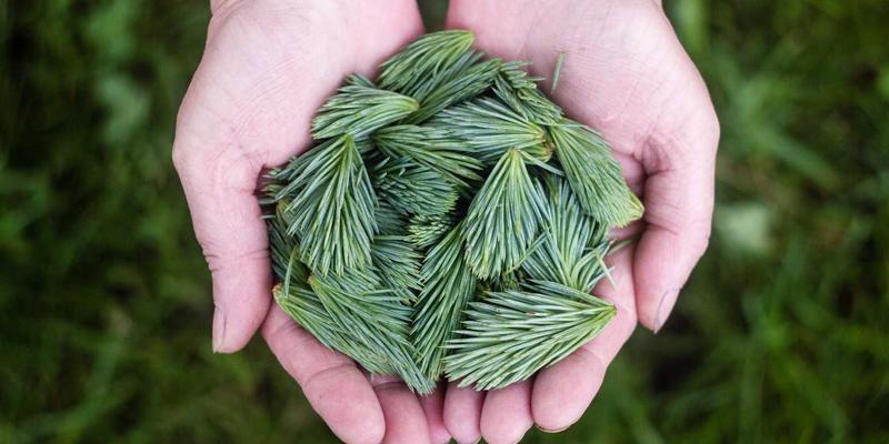 长期旅居民宿预订全攻略：解锁月租折扣、精选度假小屋与社区融入之道