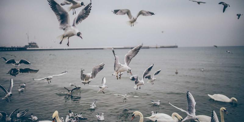 预订卡拉小屋等小众目的地民宿：绿色旅游的完整交通与注意事项指南